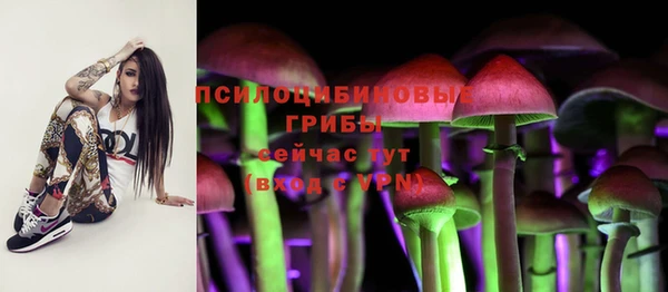 СК Алзамай