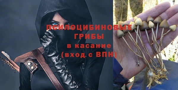 сатива Алексеевка