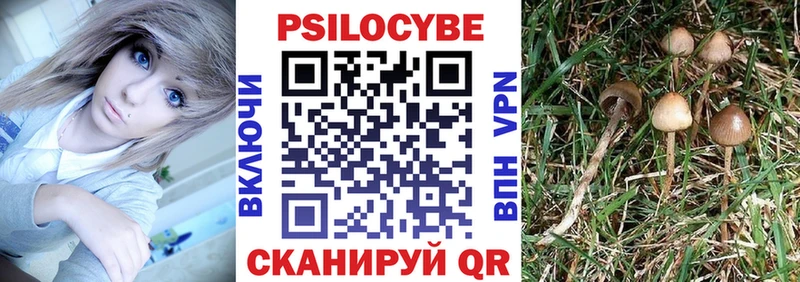 Псилоцибиновые грибы ЛСД  МЕГА   Алексин  купить наркотик 